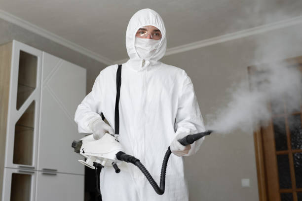 Environmental Consulting for Mold Prevention in Crystal City, TX